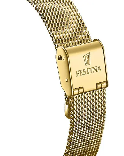 Festina Automatic F20629/1